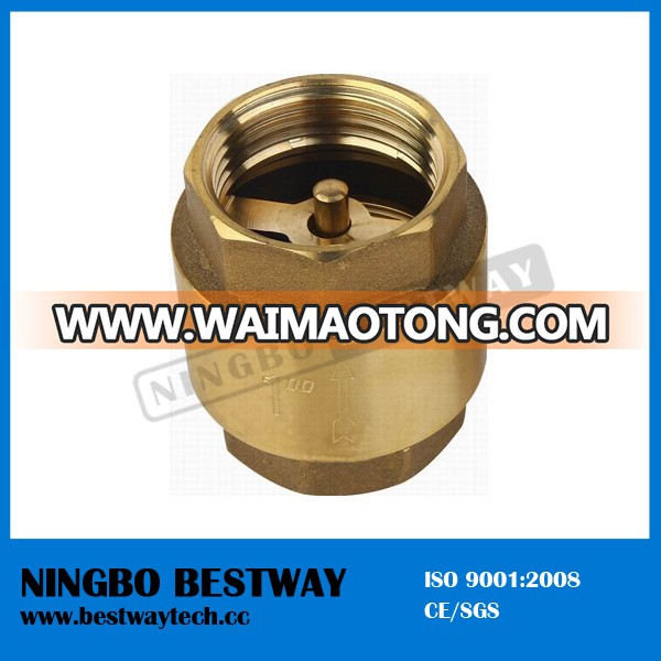 Brass Core Vertical Check Valve