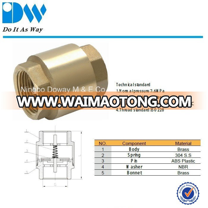 Brass Spring Check Valve