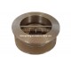 Wafer Check Valve 6 Inch